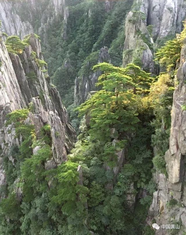 分手后又回头的人都是怎么想的？游戏画面